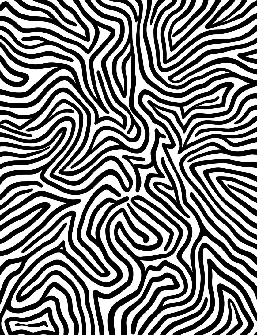 Bold Black White Maze Pattern Rug
