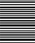 Classic Black And White Striped Rug