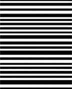 Classic Black And White Striped Rug