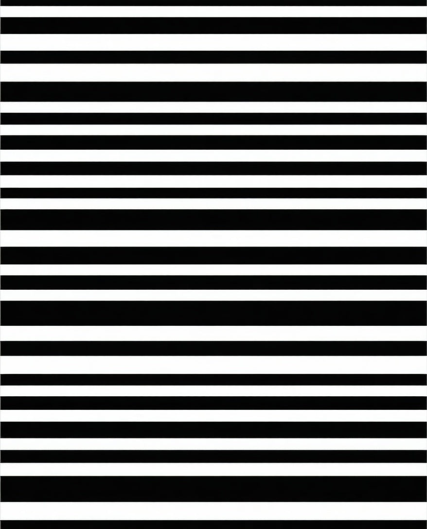 Classic Black And White Striped Rug
