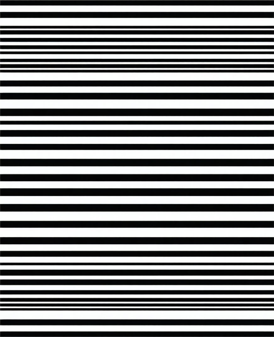 Modern Black White Stripe Design Rug