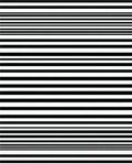 Modern Black White Stripe Design Rug