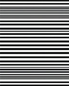 Modern Black White Stripe Design Rug
