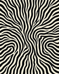 Abstract Black Cream Zebra Print Rug