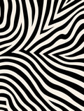 Bold Black Ivory Zebra Stripe Rug