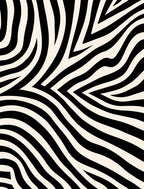 Bold Black Ivory Zebra Stripe Rug