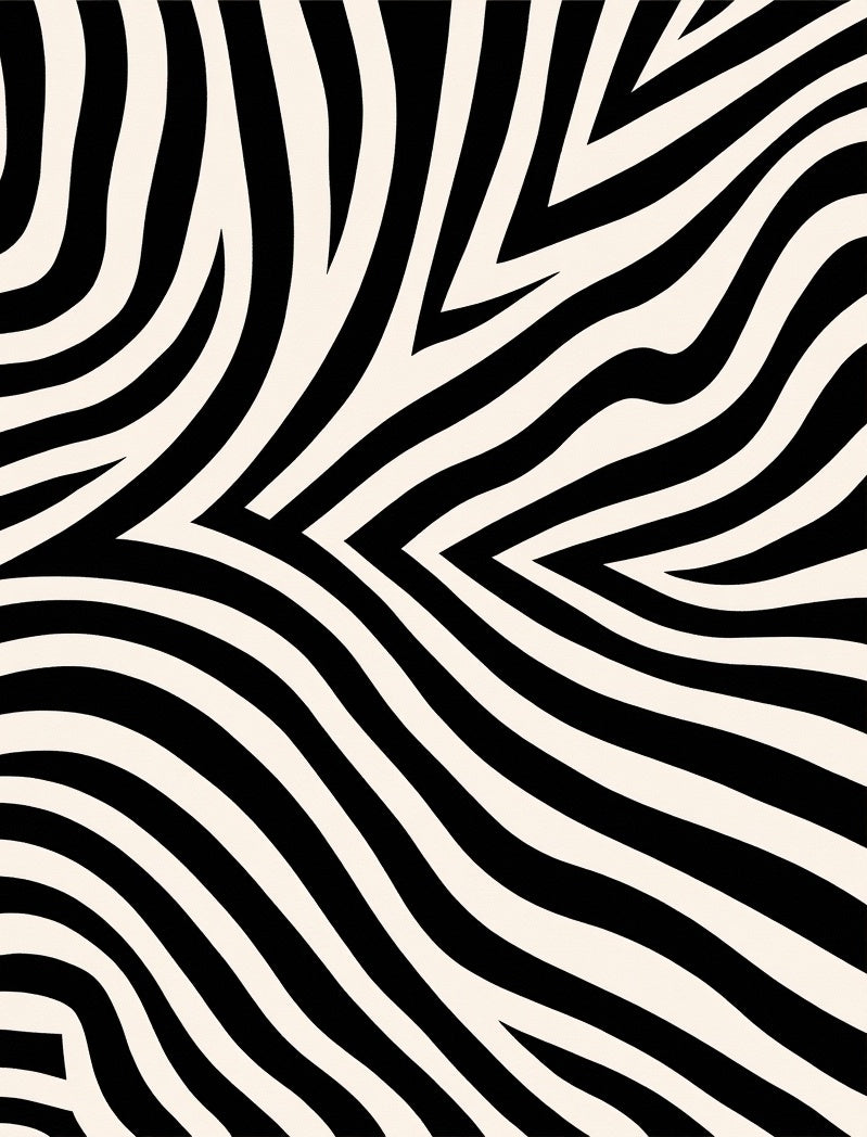 Bold Black Ivory Zebra Stripe Rug
