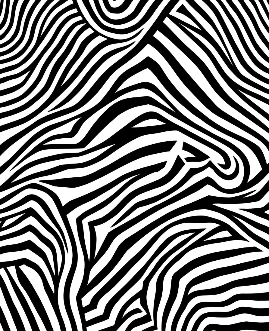 Bold Black White Stripe Pattern Rug
