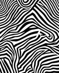 Bold Black White Stripe Pattern Rug