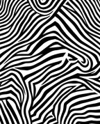 Bold Black White Stripe Pattern Rug