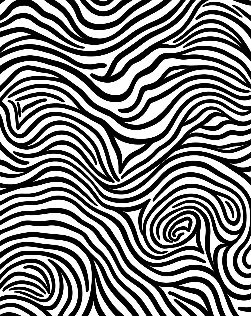 Bold Black White Swirl Pattern Rug