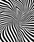 Abstract Black White Striped Illusion Rug