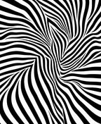 Abstract Black White Striped Illusion Rug