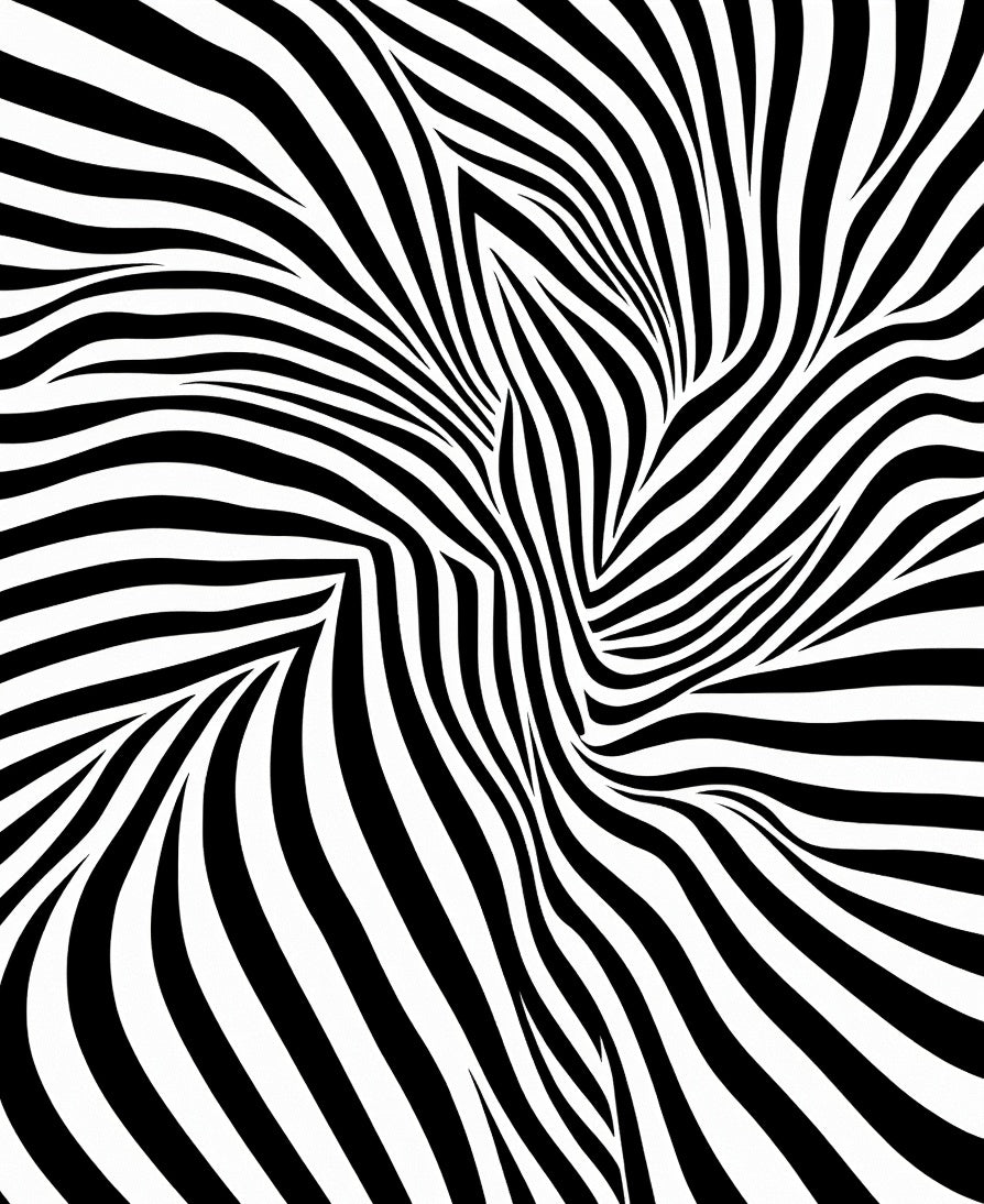 Abstract Black White Striped Illusion Rug