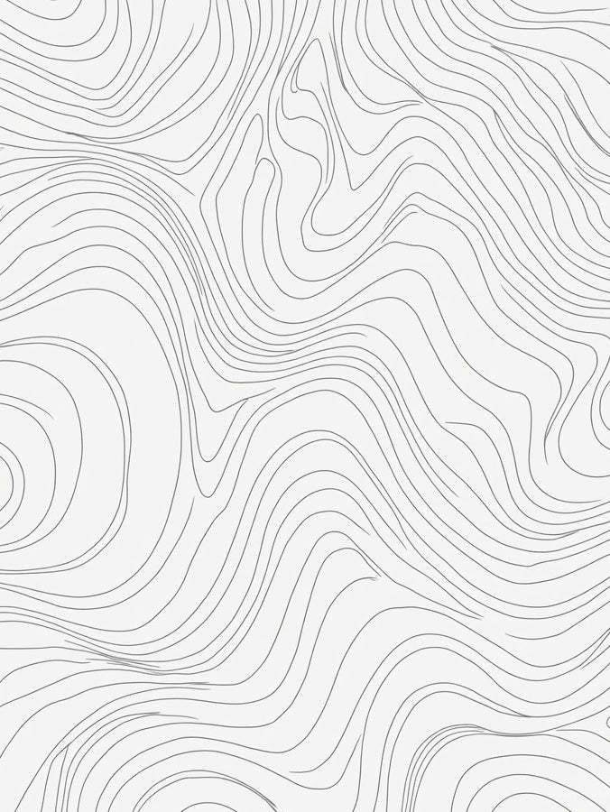 Abstract Contour Line Pattern Rug