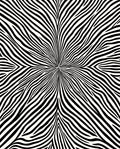 Abstract Black White Stripe Design Rug