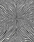 Abstract Black White Stripe Design Rug