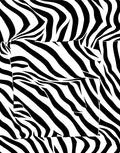 Bold Black White Stripe Pattern Rug