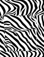 Bold Black White Stripe Pattern Rug