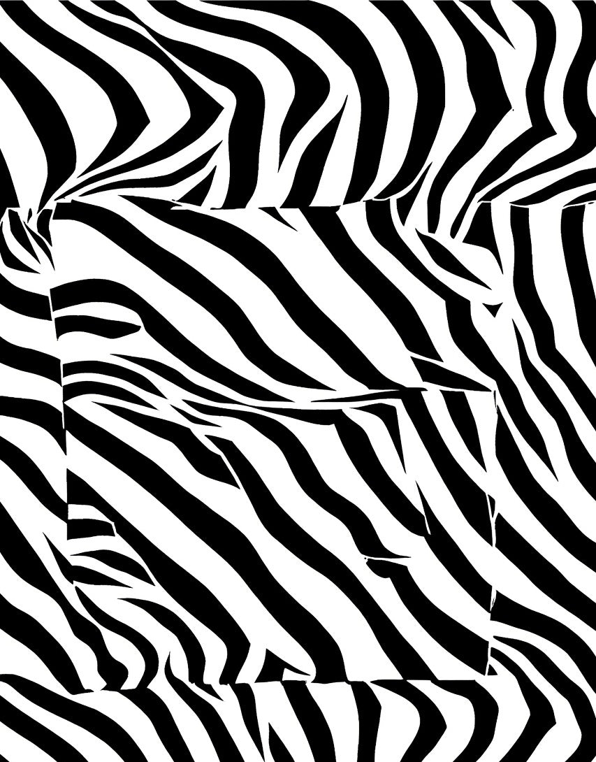 Bold Black White Stripe Pattern Rug