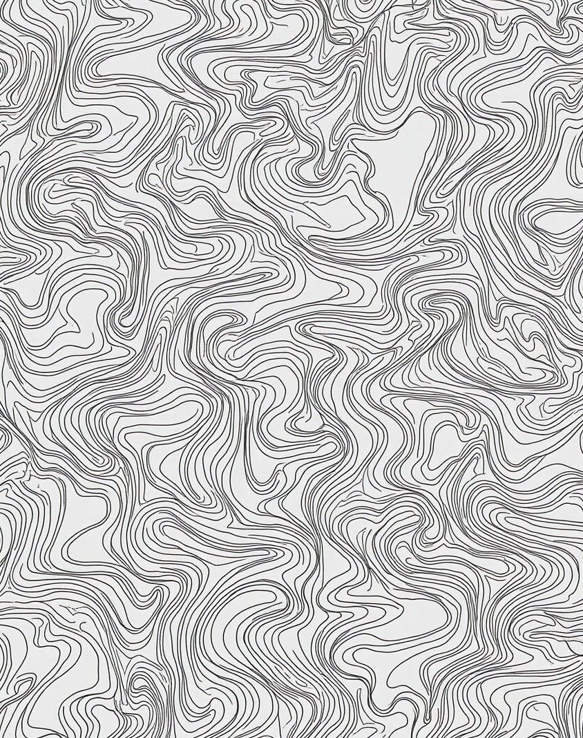 Abstract Topographical Contour Pattern Rug