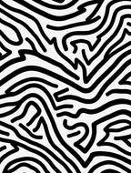 Abstract Black White Wavy Stripes Design Rug