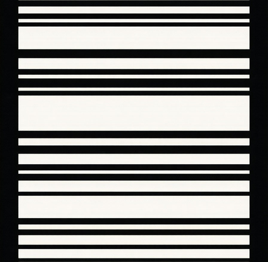 Minimalist Black White Stripe Rug