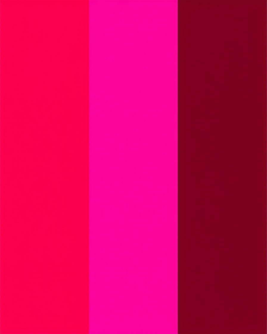 Bold Pink Burgundy Striped Rug