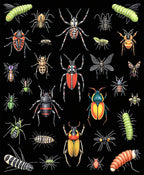 Insect Diversity Textured Black Rug