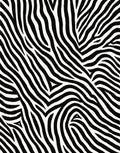 Bold Black White Zebra Stripes Rug