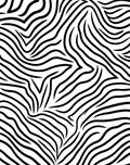 Wild Zebra Print Pattern Rug