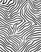 Wild Zebra Print Pattern Rug