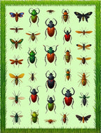 Vibrant Insects Nature Pattern Rug