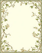 Ornate Floral Vine Design Rug
