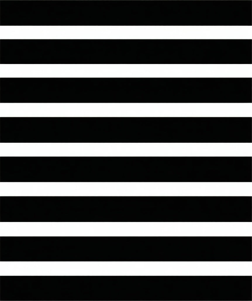 Bold Black White Stripe Design Rug