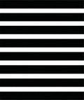 Bold Black White Stripe Design Rug