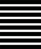Bold Black White Stripe Design Rug