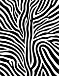 Bold Black White Stripe Pattern Rug