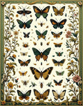 Nature Butterflies And Flowers Pattern Rug
