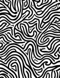 Bold Abstract Black White Lines Rug