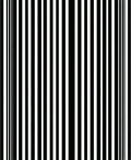 Bold Vertical Stripe Pattern Rug