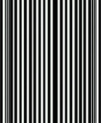 Bold Vertical Stripe Pattern Rug