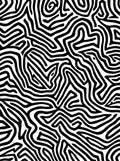 Abstract Black and White Maze Pattern Rug