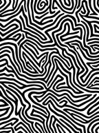Abstract Black and White Maze Pattern Rug