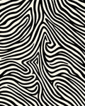 Bold Black White Abstract Zebra Rug