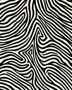 Bold Black White Abstract Zebra Rug