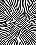 Bold Black White Animal Print Rug