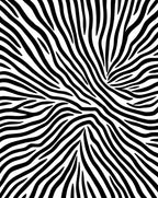 Bold Black White Animal Print Rug