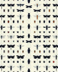 Entomology Collection Beetle Dragonfly Pattern Rug
