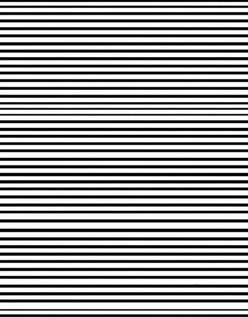 Thin Black White Striped Design Rug